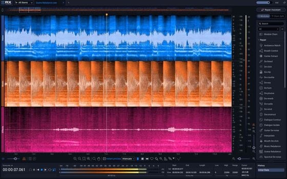Studio-Effekt-Plugin iZotope RX 12 Advanced (Digitales Produkt) - 4