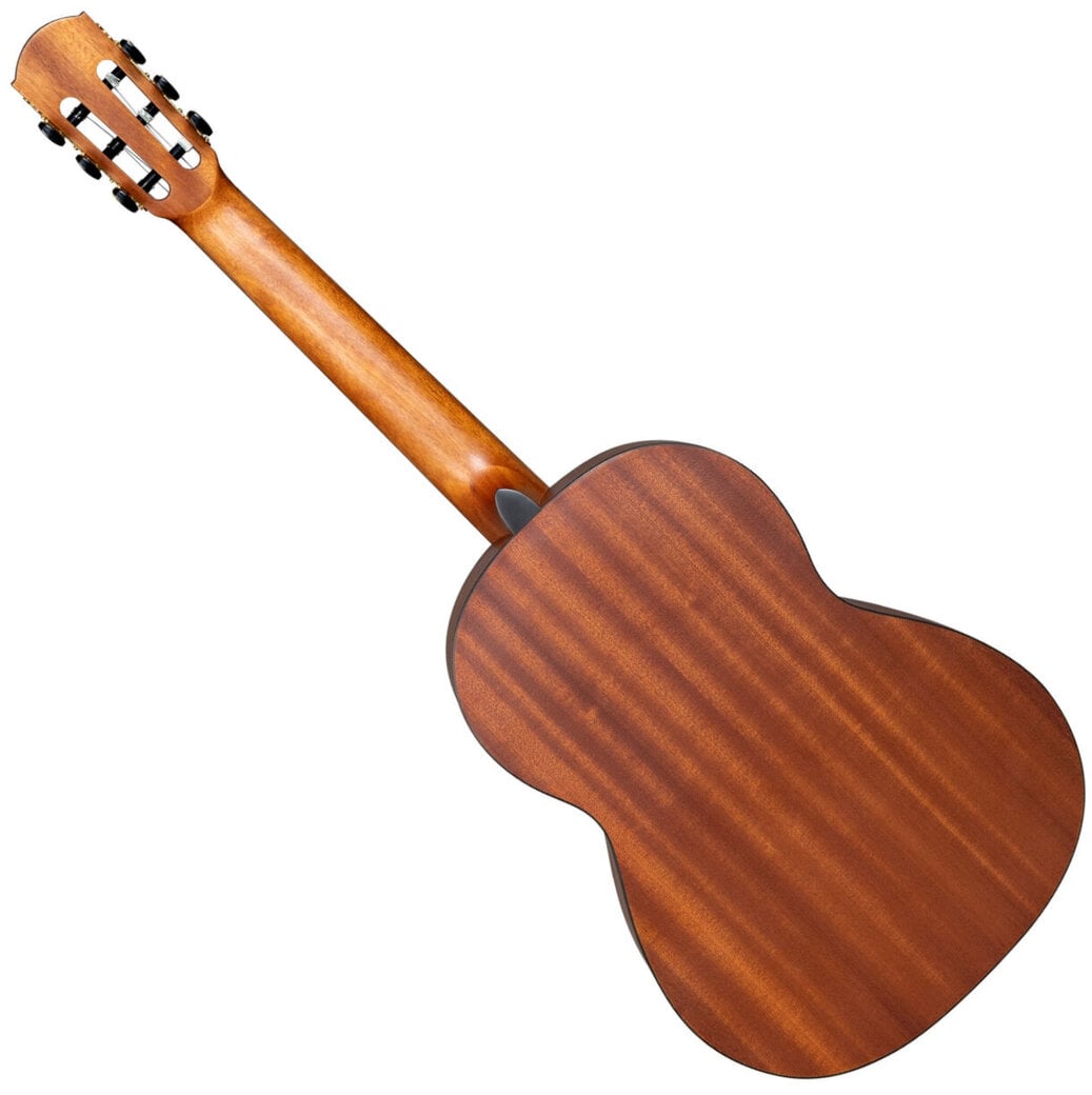 Neck