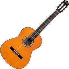 Klasična gitara Pasadena PC-100 Basic SET 4/4 Natural Klasična gitara - 1