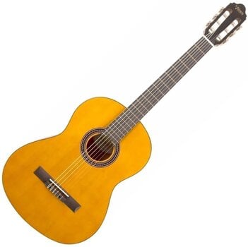 Klassieke gitaar Valencia VC204H Basic SET 4/4 Natural Klassieke gitaar - 2