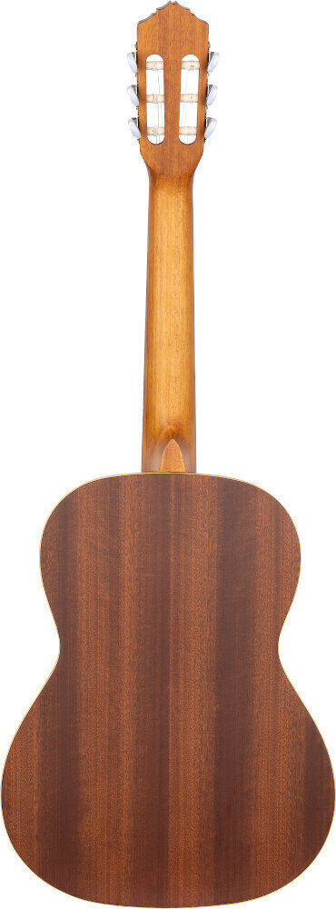 Neck