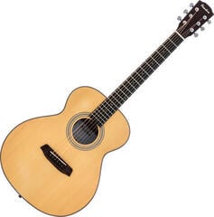 Folk Guitar Pasadena PT-200 Basic SET Natural Folk Guitar - 1