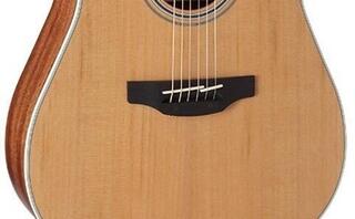 elektroakustiline kitarr Takamine GD20CE Basic SET Natural Satin elektroakustiline kitarr - 3
