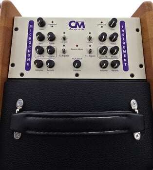 Combo pojačalo za elektroakustičnu gitaru Carl Martin CM Acoustic Combo pojačalo za elektroakustičnu gitaru - 4