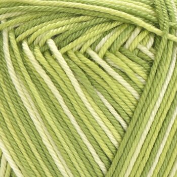 Kudumislõng Yarn Art Begonia  Melange 188 Kudumislõng - 2