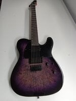 ESP LTD TE-200DX Purple Burst Elektrisk gitarr