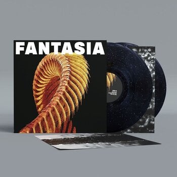 Vinyl Record Slift - Fantasia (Sparkle Starlight Coloured) (2 LP) - 2