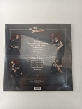LP Insania - Grrrotesky (LP) (Alleen uitgepakt) - 4