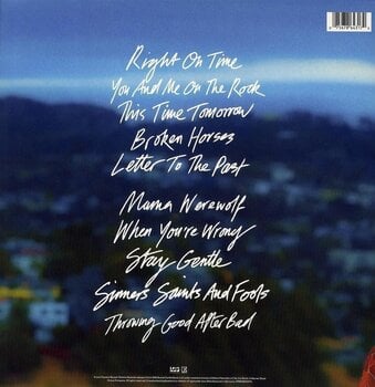 LP ploča Brandi Carlile - In These Silent Days (LP) - 2