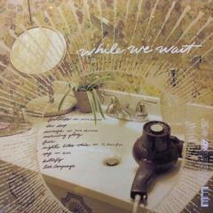 Vinüülplaat Kehlani - While We Wait (LP) - 1