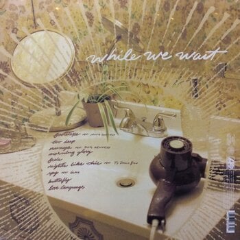 Vinüülplaat Kehlani - While We Wait (LP) - 2