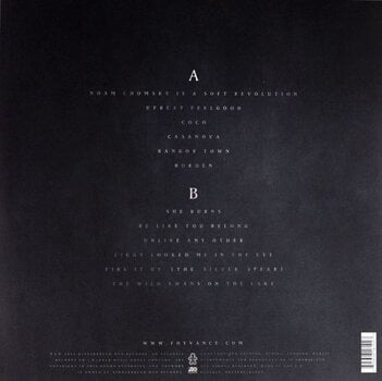 LP ploča Foy Vance - The Wild Swan (LP) - 2