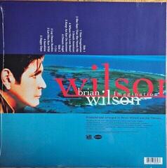 LP platňa Brian Wilson - Imagination (LP) - 1