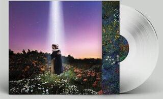 LP ploča Honne - Let's Just Say The World Ended A Week From Now, What Would You Do? (Coloured) (LP) - 1