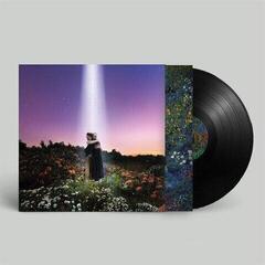 Vinüülplaat Honne - Let's Just Say The World Ended A Week From Now, What Would You Do? (LP) - 1