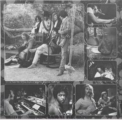 LP plošča Crosby, Stills, Nash & Young & Dallas Taylor & Greg Reeves - Déjà Vu (Alternates) (180 g) (LP) - 2
