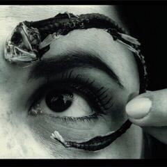 Vinyl Record Mr. Bungle - Disco Volante (Light Blue Translucent Coloured) (2 LP) - 1