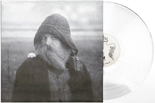 LP plošča Mary In The Junkyard - Role Model Hermit (Indie Exclusive) (Clear Coloured) (LP) - 2