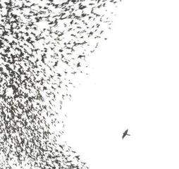 LP Wilco - Sky Blue Sky (Sky Blue Coloured) (2 LP) - 1