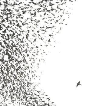 LP Wilco - Sky Blue Sky (Sky Blue Coloured) (2 LP) - 2