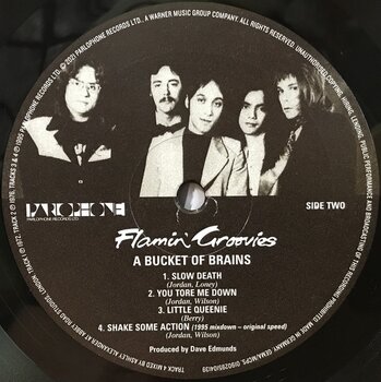 LP ploča The Flamin' Groovies - I'll Have A ... Bucket Of Brains (10") - 2