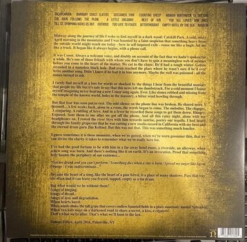LP plošča Conor Oberst - Ruminations (RSD 2021) (2 LP) - 3