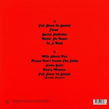 LP ploča Vagabon - Vagabon (LP) - 2