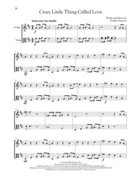 Notes Hal Leonard Big Book of Violin & Viola Duets Notes - 4