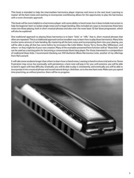 Natos Hal Leonard Blues Harmonica - Bending & Beyond Natos - 4
