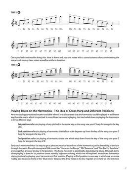 Natos Hal Leonard Blues Harmonica - Bending & Beyond Natos - 6