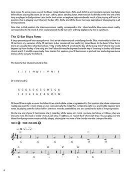 Natos Hal Leonard Blues Harmonica - Bending & Beyond Natos - 7