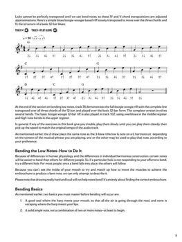 Natos Hal Leonard Blues Harmonica - Bending & Beyond Natos - 8
