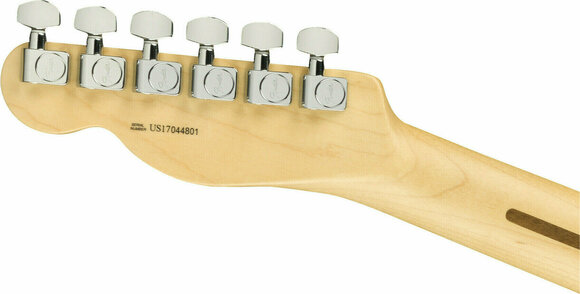 Chitarra Elettrica Fender Lightweight Ash American Professional Tele MN Honey Blonde - 6