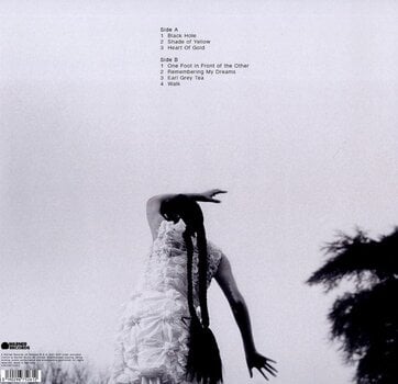 LP ploča Griff - One Foot In Front Of The Other (Clear Coloured) (LP) - 2