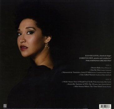 Schallplatte Julia Bullock - Walking in the Dark (LP) - 2