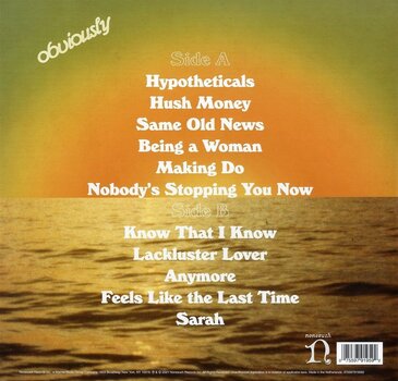 LP ploča Lake Street Dive - Obviously (LP) - 2