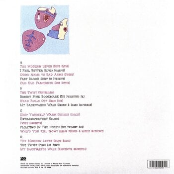 Vinyl Record Various Artists - Tiny Changes: A Celebration Of Frightened Rabbit's 'The Midnight Organ Fight' (2 LP) - 2