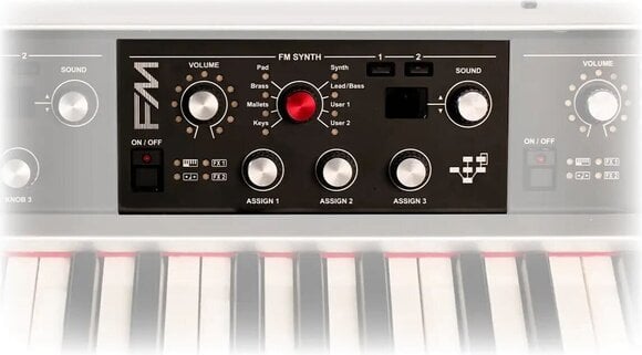 Sistema modular Viscount LEGEND '70s FM Module Sistema modular - 3