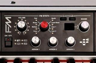 Sistema modular Viscount LEGEND '70s FM Module Sistema modular - 3