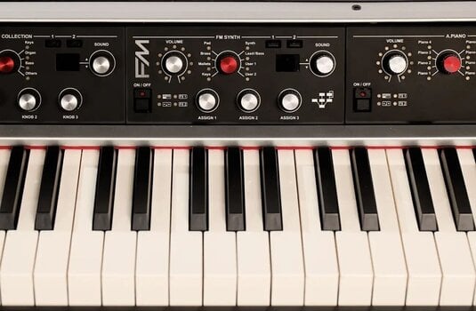 Sistema modular Viscount LEGEND '70s FM Module Sistema modular - 5