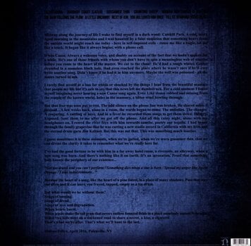 Δίσκος LP Conor Oberst - Ruminations (Bright Eyes) (LP) - 2