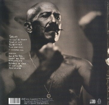 LP ploča Foy Vance - Signs Of Life (LP) - 2