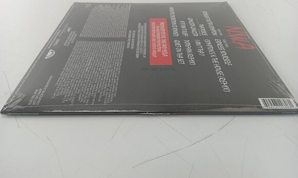 Disque vinyle N.W.A - Straight Outta Compton (Remastered) (LP) (Juste déballé) - 4