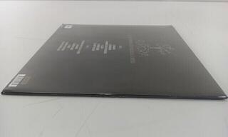 Disco in vinile Aurora ( Singer ) - All My Demons Greeting Me As A Friend (Cream Coloured) (Reissue) (LP) (Solo aperto) - 3