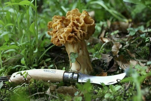 Hubársky nožík Opinel N°08 Mushroom Knife Hubársky nožík - 3