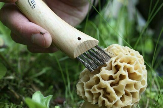 Faca para cogumelos Opinel N°08 Mushroom Knife Faca para cogumelos - 4