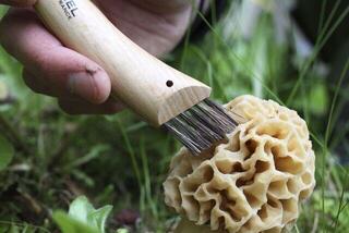 Pilzmesser Opinel Wooden Gift Box N°08 Mushroom + Sheath Pilzmesser - 5