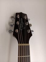 Takamine GD30CE Natural Guitare Dreadnought acoustique-électrique