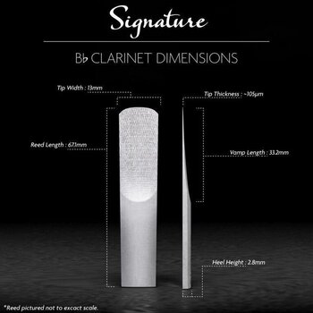 Тръстикова пластинка за кларинет Legere Signature Bb BBSS2.25 Тръстикова пластинка за кларинет - 2