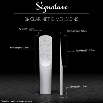 Klarinet reed Legere Signature Bb BBSS3.25 Klarinet reed - 2